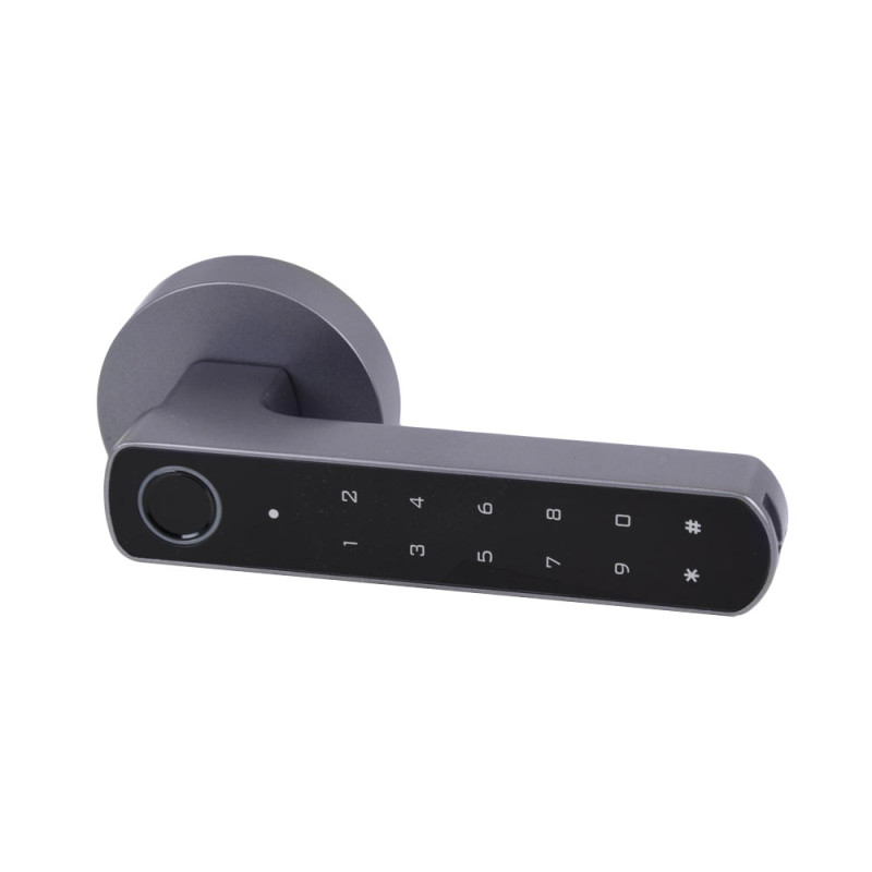 Smart замок Atis Lock BT-100-T серый с доступом по отпечатку пальца и поддержкой Tuya Smart