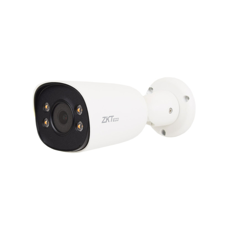 IP-камера 2 МП ZKTeco BS-852T11C-C c PoE